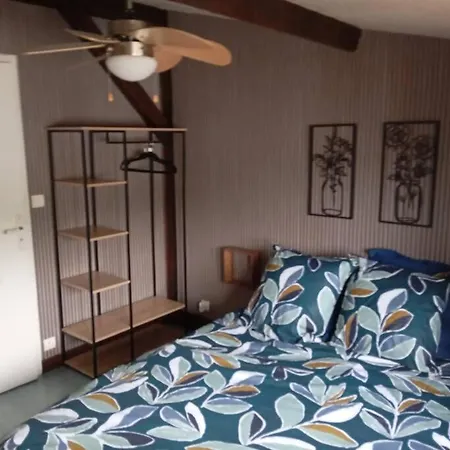 Sanctuaire Lourdes 180 M2 Duplex 5 Chambres 15 Voyageurs 10 Lits Balcon