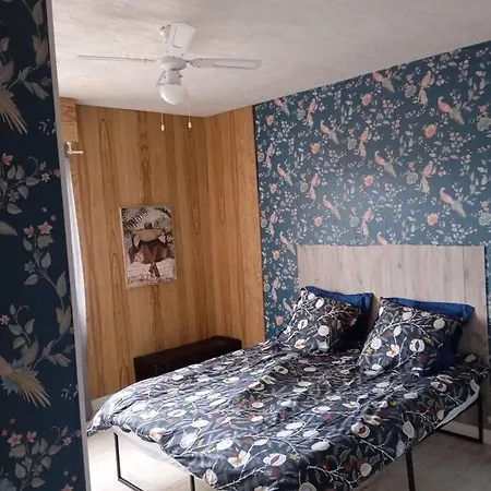Sanctuaire Lourdes 180 M2 Duplex 5 Chambres 15 Voyageurs 10 Lits Balcon *