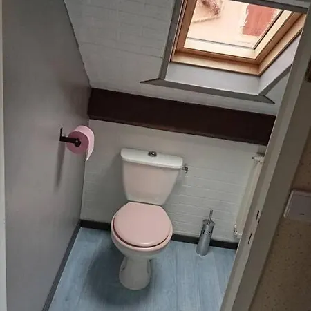 Proche Sanctuaire Duplex 12 Voyageurs 150m2 Lit Bebe Et Balcon Fumeur En Exterieur Daire Lourdes